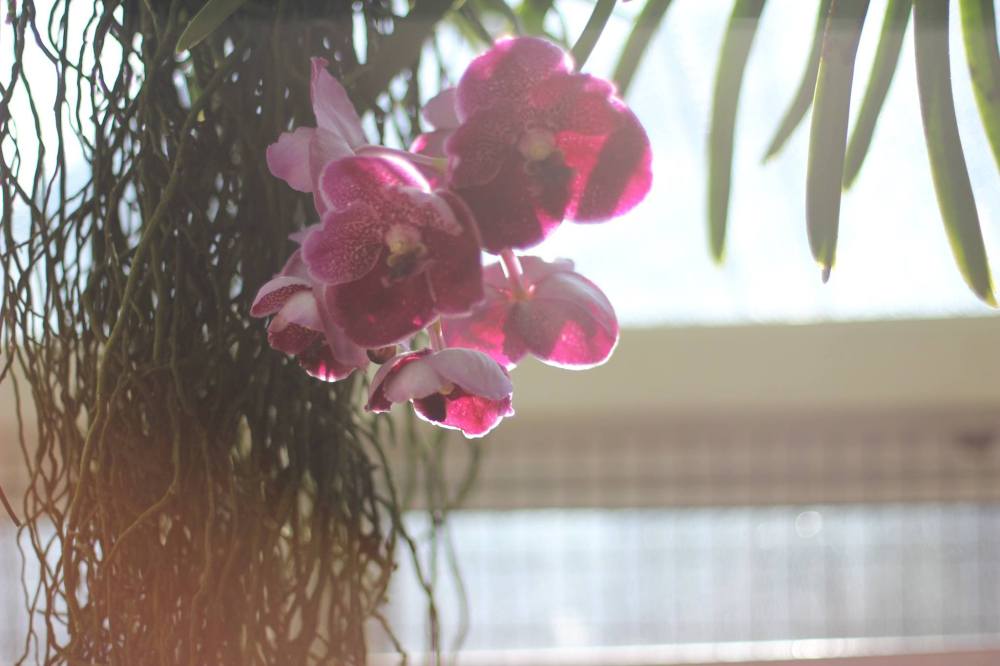 17879974_10100210443251911_7044268260744408038_o