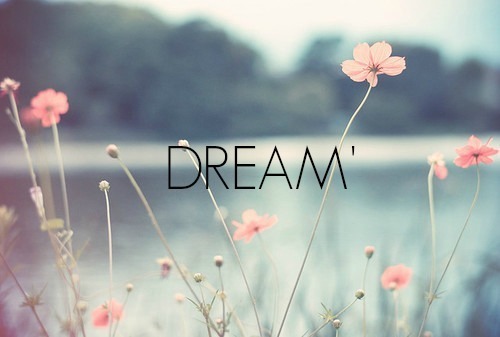 tumblr_static_1g4ue66qs0bosk48gk80skgkk_640_v2